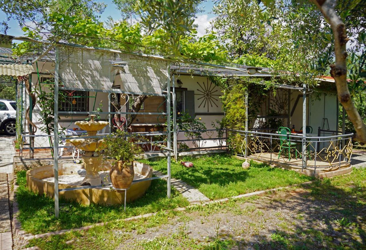卡拉马塔Veni Olive House别墅 外观 照片